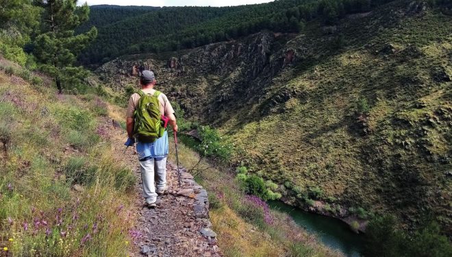 Camino de El Vado a La Vereda (PR-GU 18)