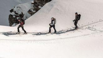 Bastones en el esquí de montaña