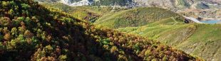 El camino por el que recorremos el bosque de Pardomino alterna tramos de denso follaje con claros que nos ofrecen magníficas vistas del valle y de las montañas próximas.