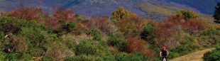 Dehesas de Rascafria. Circuito del Guadarrama en BTT  ()