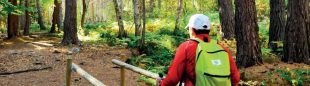 La Ruta del hayedo de Peñarrajada se puede enlazar con la parte aragonesa de la montaña del Moncayo, donde hay un sendero botánico.